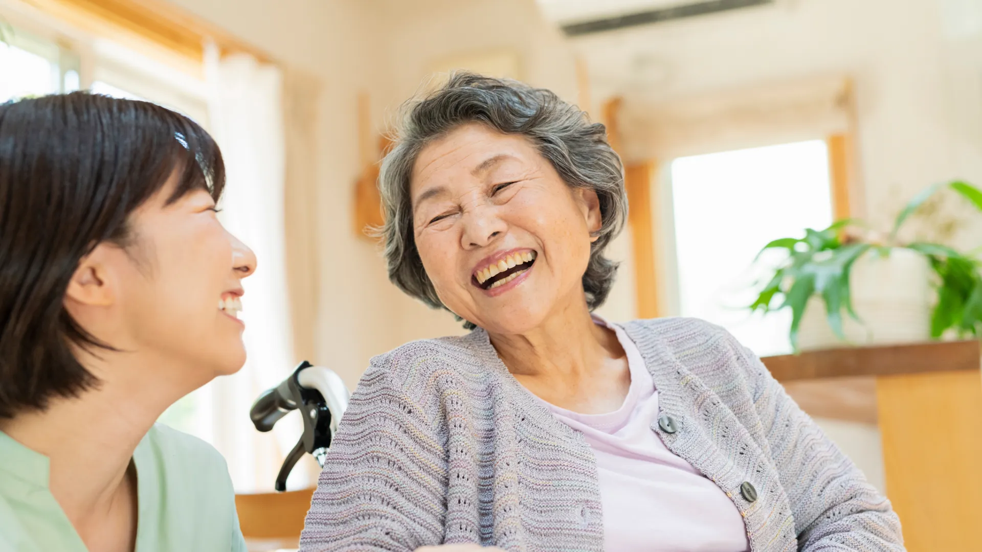 介護助手の主な仕事内容